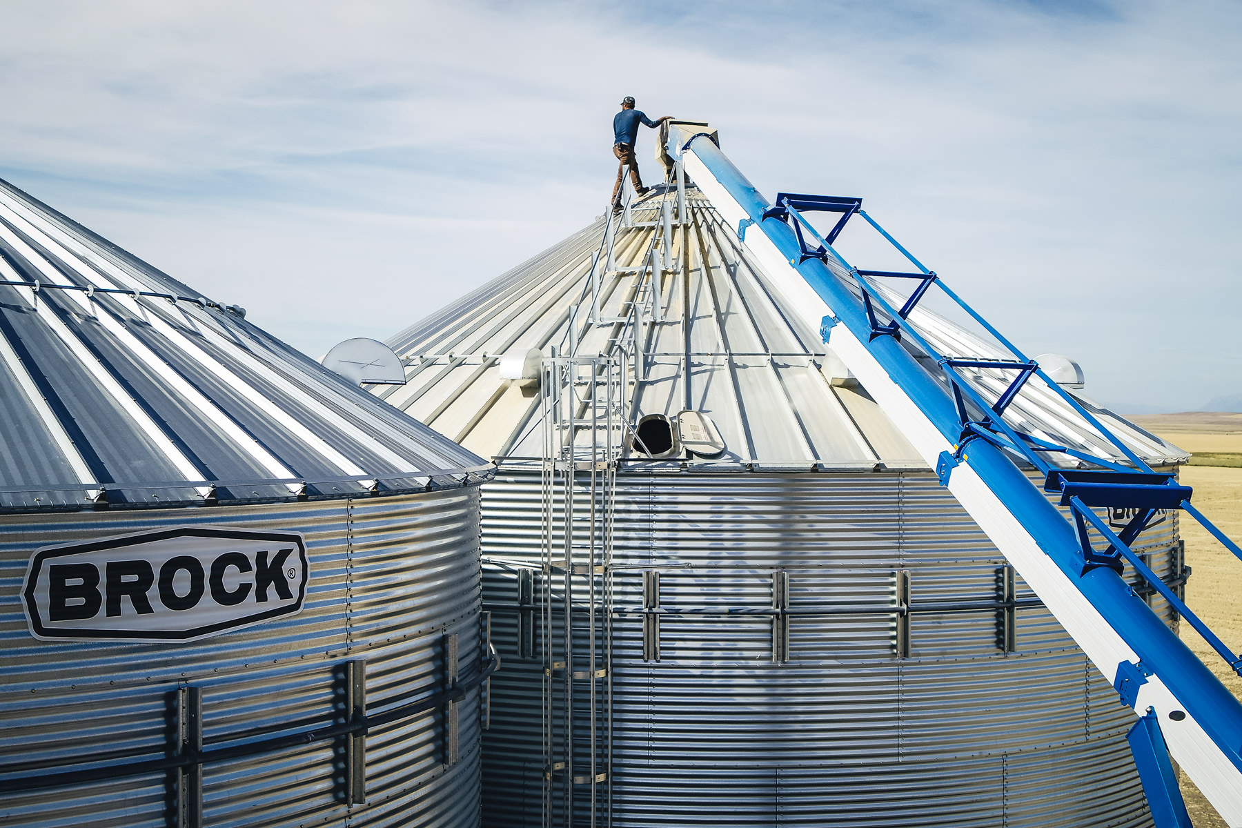 mjp-wheat-20190829-28